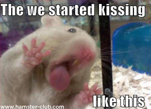 The We Started Kissing Like This Funny Hamster Meme Picture