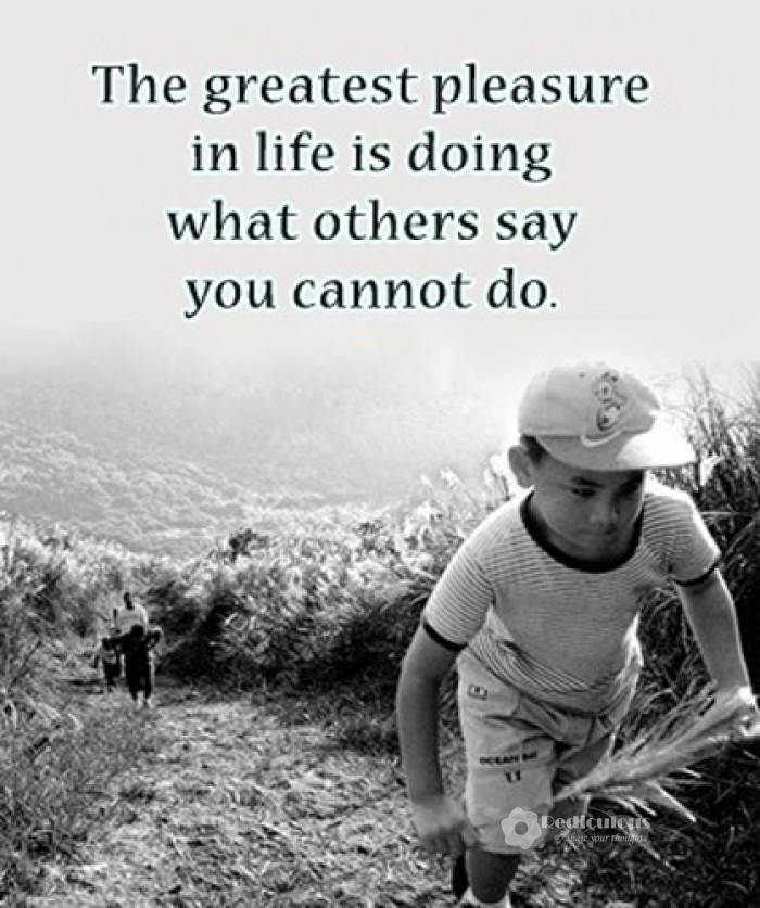 The greatest pleasure in life is doing what people say you cannot do. – Walter Bagehot