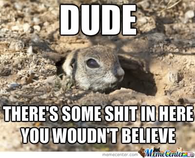 There's Some Shit In Here You Woudn't Believe Funny Squirrel Meme Picture