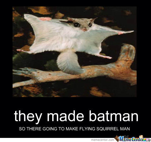 They Made Batman Funny Squirrel Meme Picture