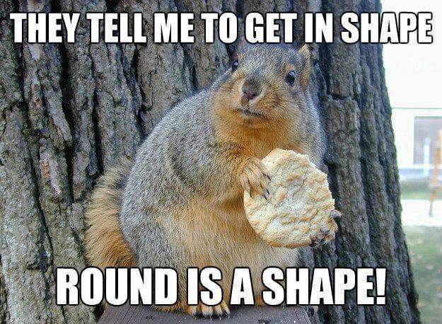 They Tell Me To Get In Shape Round Is A Shape Funny Squirrel Meme Picture