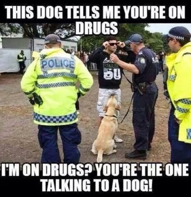 This Dog Tells Me You Are On Drugs Funny Cop Meme Picture For Whatsapp