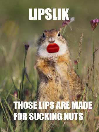 Those Lips Are Made For Sucking Nuts Funny Squirrel Meme Picture