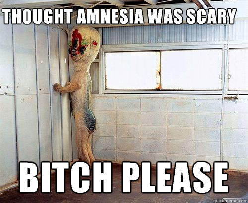 Thought Amnesia Was Scary Funny Meme Image