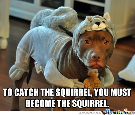 To Catch The Squirrel, You Must Become The Squirrel Very Funny Meme Image