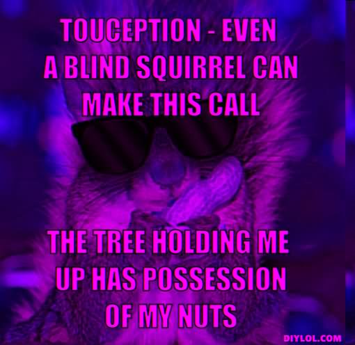 Touception - Even A Blind Squirrel Can make This Call Funny Squirrel Meme Image