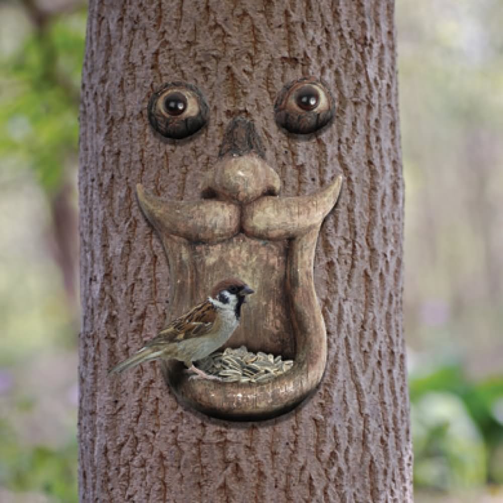 Tree Face With Bird Feeder Funny Picture For Facebook
