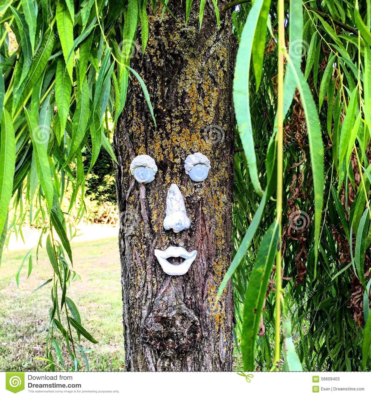 Tree Pouting Face Funny Image