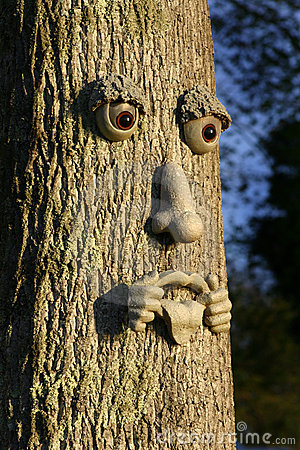Tree Pulling Face Funny Image For Facebook