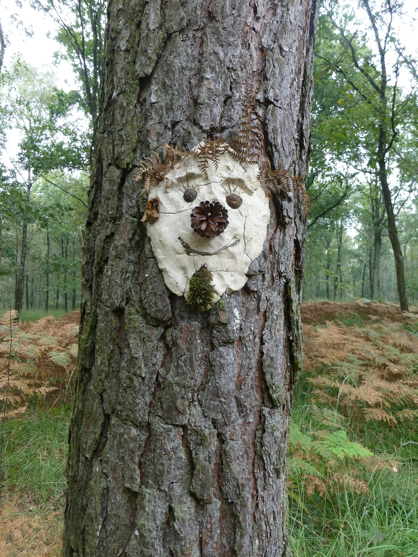 Tree With Clown Face Funny Picture