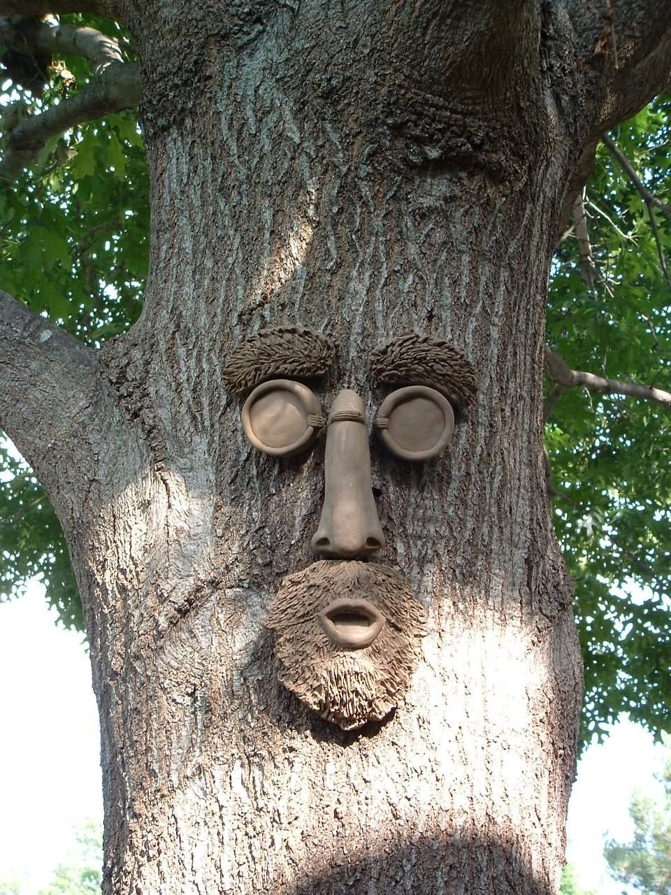 Tree With Man Face Funny Picture
