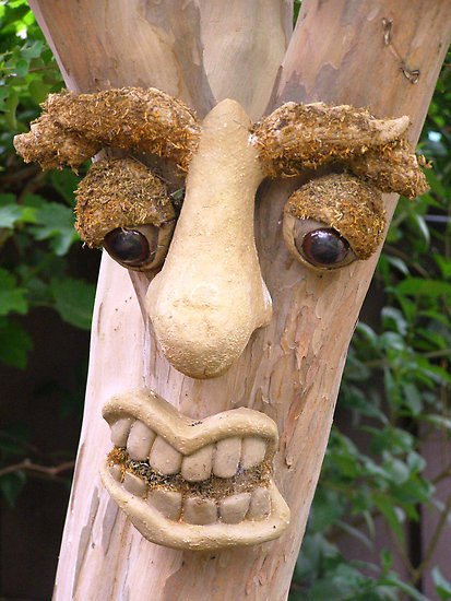Tree With Very Funny Sad Face Picture For Facebook