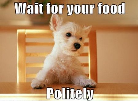 Wait For Your Food Politely Funny Food Meme Picture
