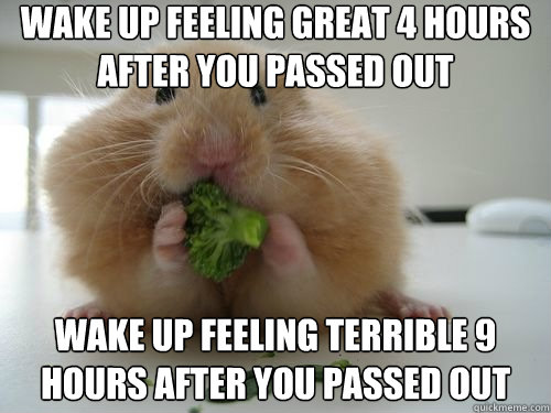 Wake Up Feeling Great 4 Hours After You Passed Out Funny Hamster Meme Image