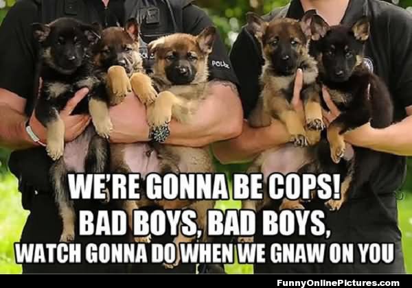 We Are Gonna Be Cops Funny Cop Meme Image