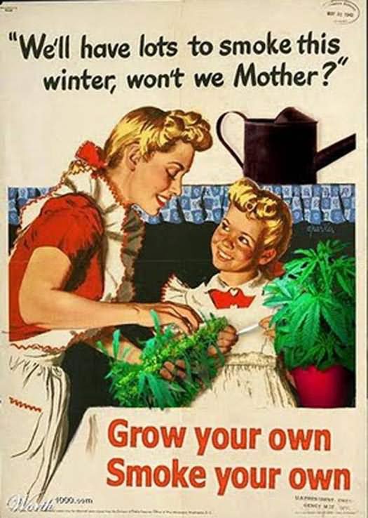 We Will Have Lots To Smoke This Winter Won't We Mother Funny Vintage Meme Image