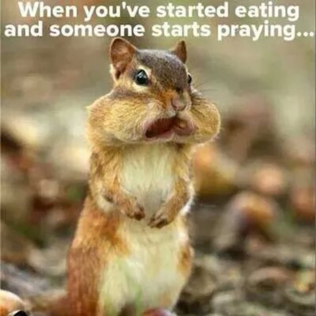 When You Have Started Eating And Someone Starts Praying Funny Squirrel Meme Picture