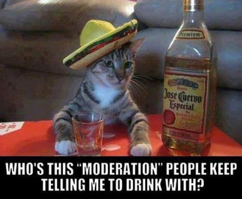 Who's This Moderation People Keep Telling Me To Drink With Funny Drinking Meme Image