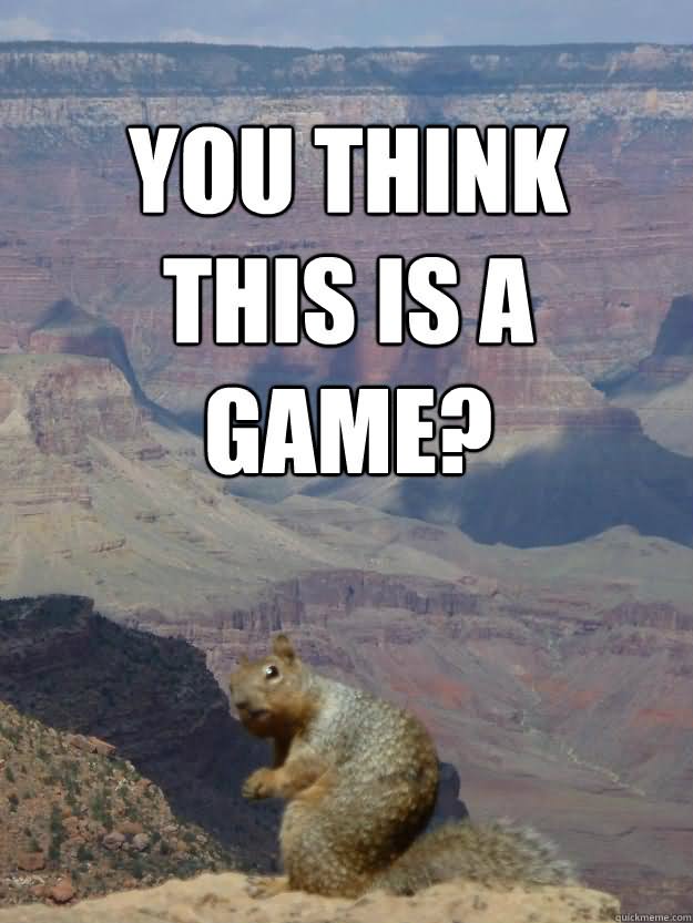 You Think This A Game Funny Squirrel Meme Picture