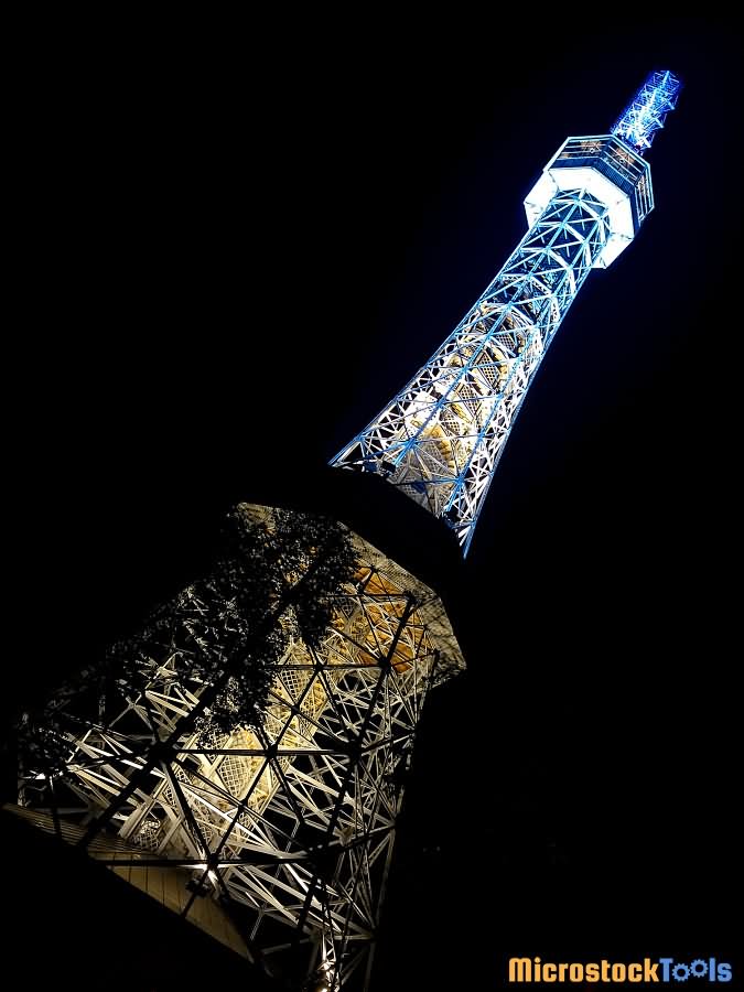 Adorable Night Picture Of The Petrin Tower