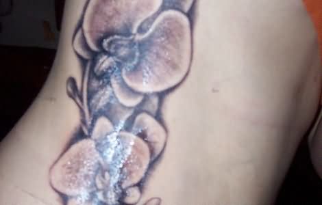 Amazing Black And White Orchid Tattoo On Rib
