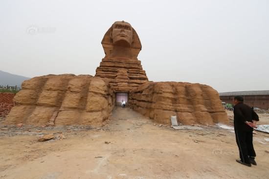 Amazing View Of The Great Sphinx of Giza
