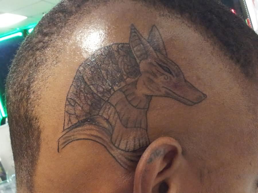 Anubis Head Tattoo On Man Head