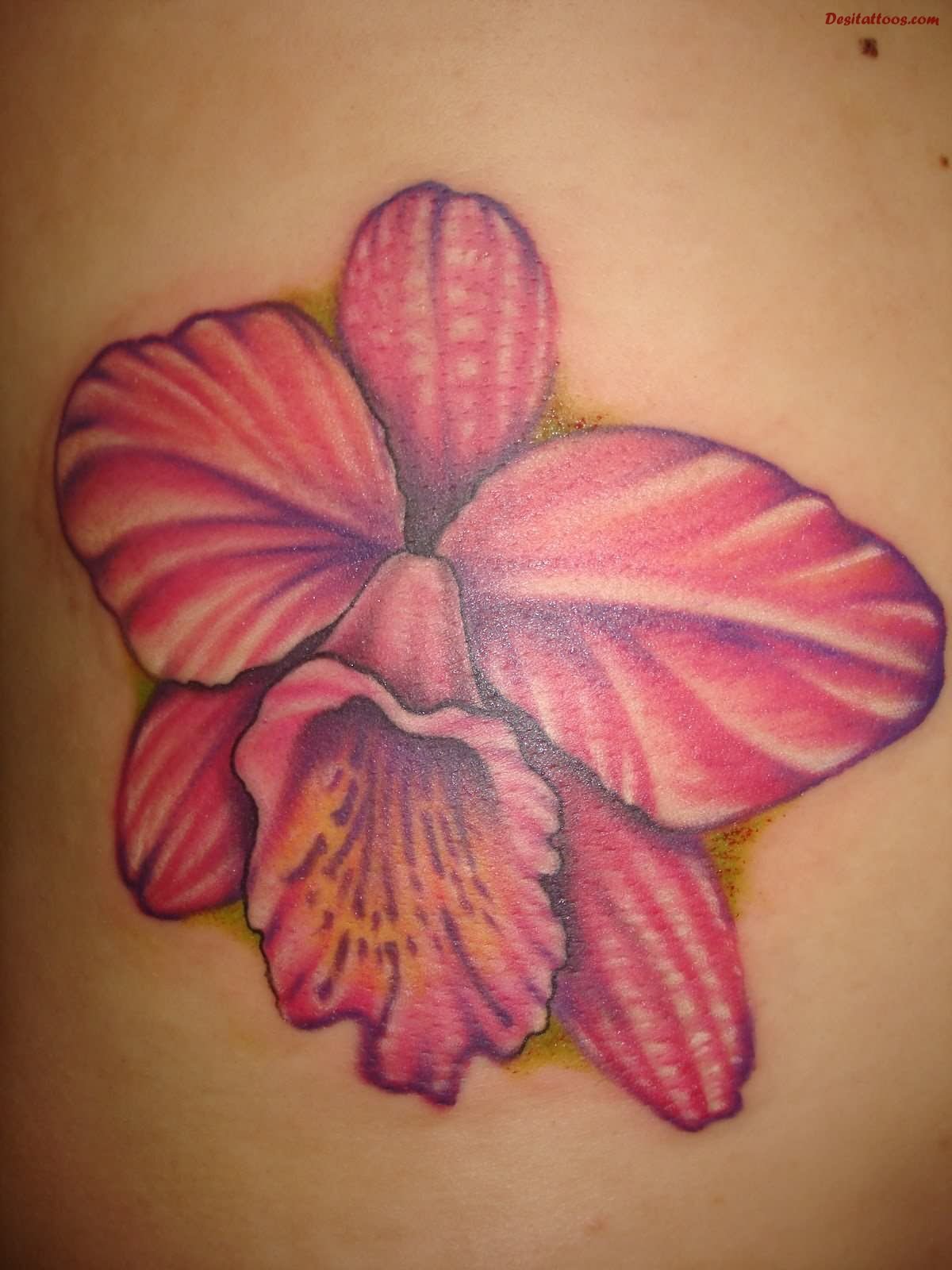 Awesome Orchid Tattoo Picture