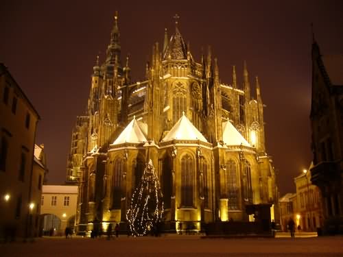Back View Of St Vitus Cathedral During Night