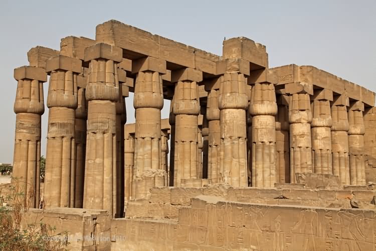 Beautiful Columns Inside The Luxor Temple