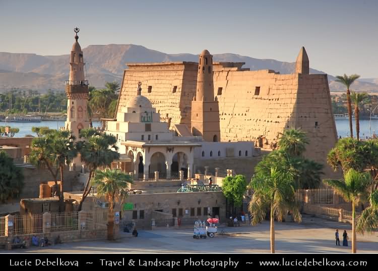 Beautiful Picture Of Luxor Temple