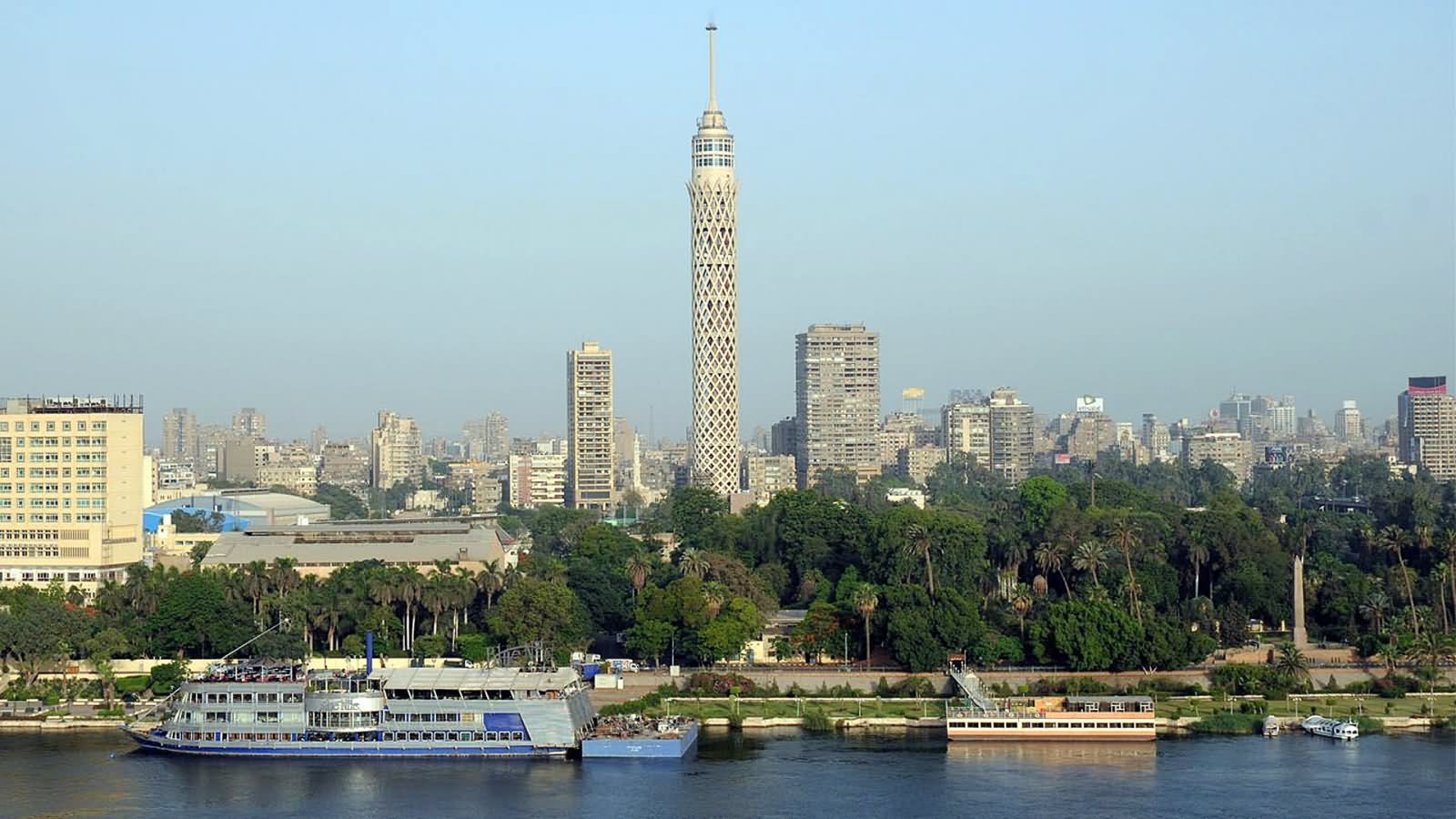 Beautiful View Of Cairo Tower Picture
