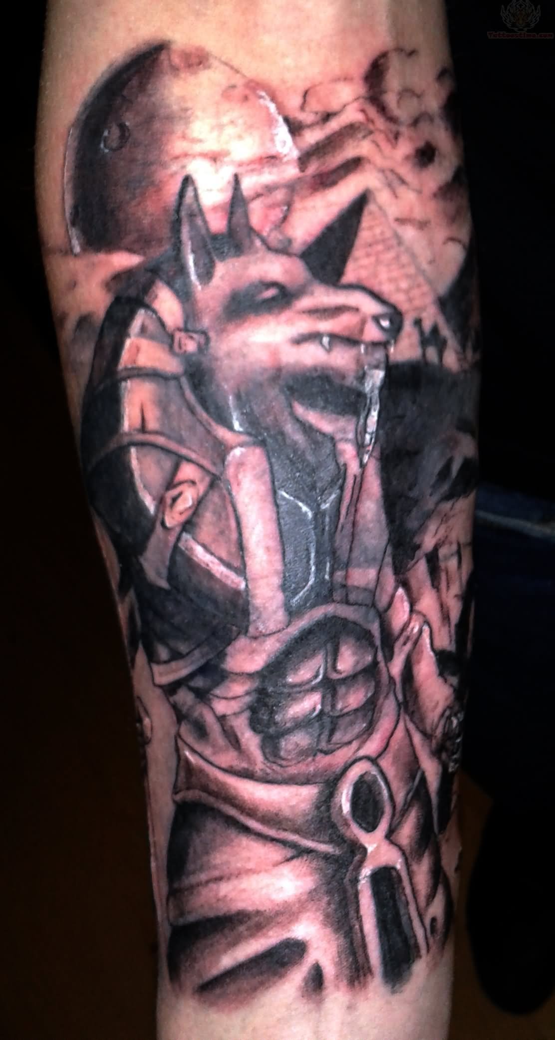 Black And Grey Lord Anubis Tattoo On Arm