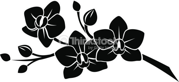 Black And White Orchid Tattoo Design Sample