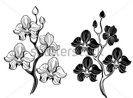 Black And White Orchid Tattoos Designs