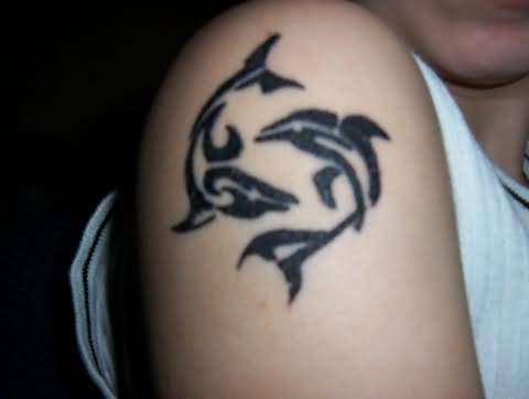 Black Tribal Dolphin Tattoo On Shoulder