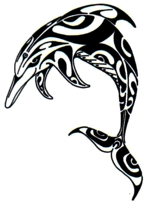 Black Tribal Dolphin Tattoo Sample
