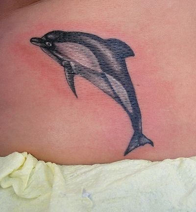 Black n Grey Dolphin Tattoo On Waist
