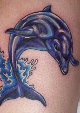 Blue Dolphin Tattoo Picture