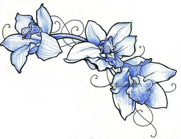 Blue Orchid Tattoos Design