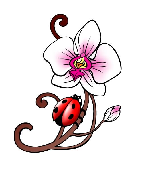 Bug And Orchid Tattoos Designs And Ideas