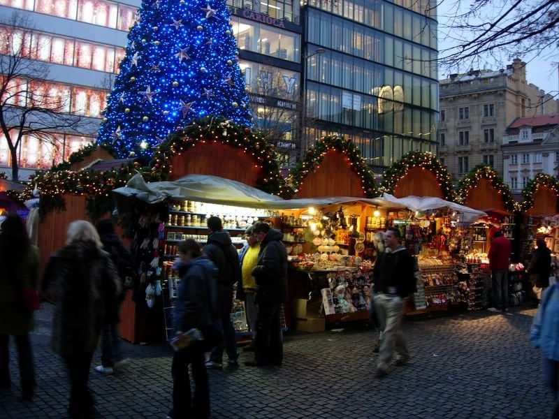Christmas Market In Wenceslas Square