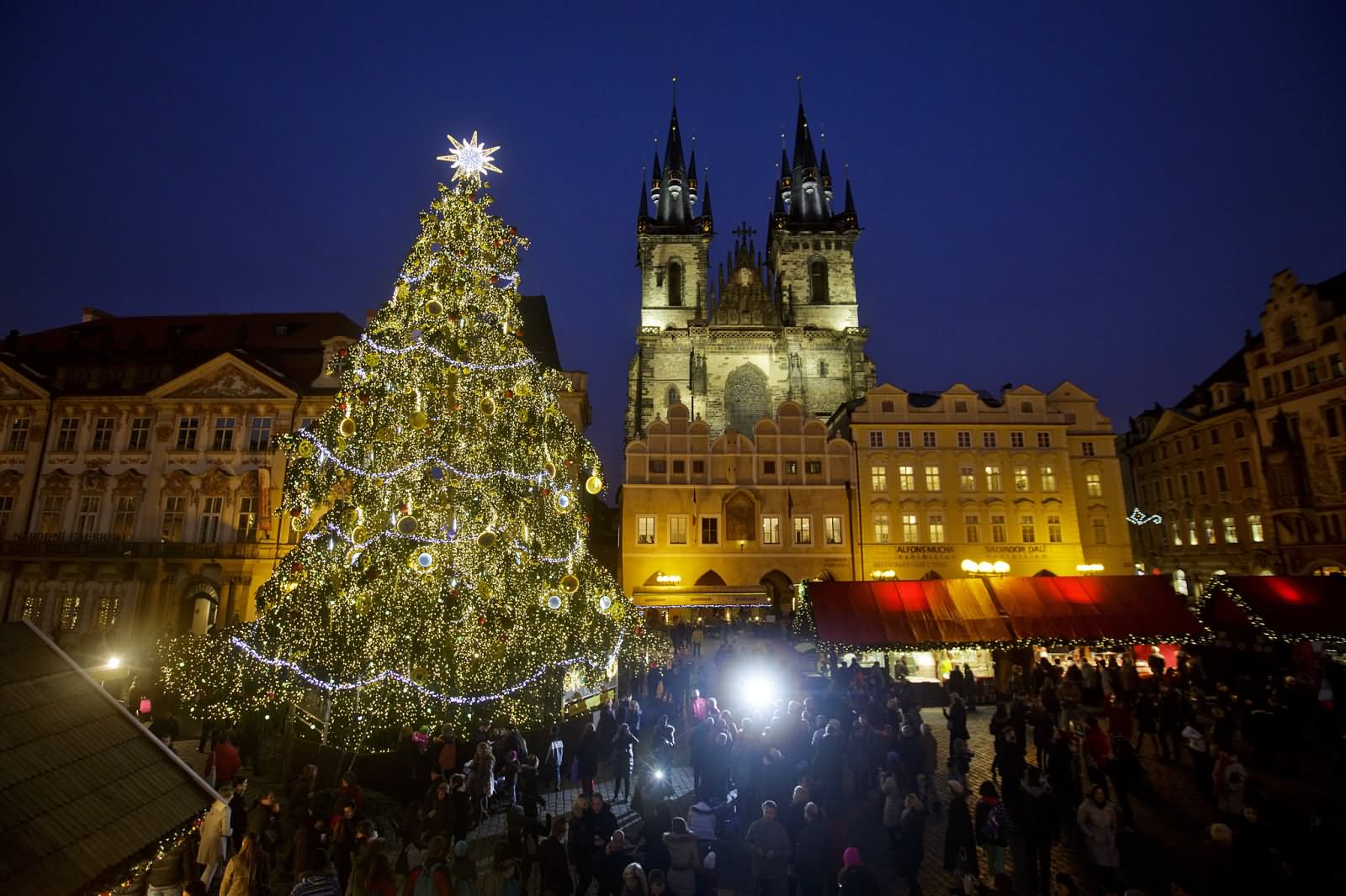 Christmas Tree At The Old Town Square, Prague