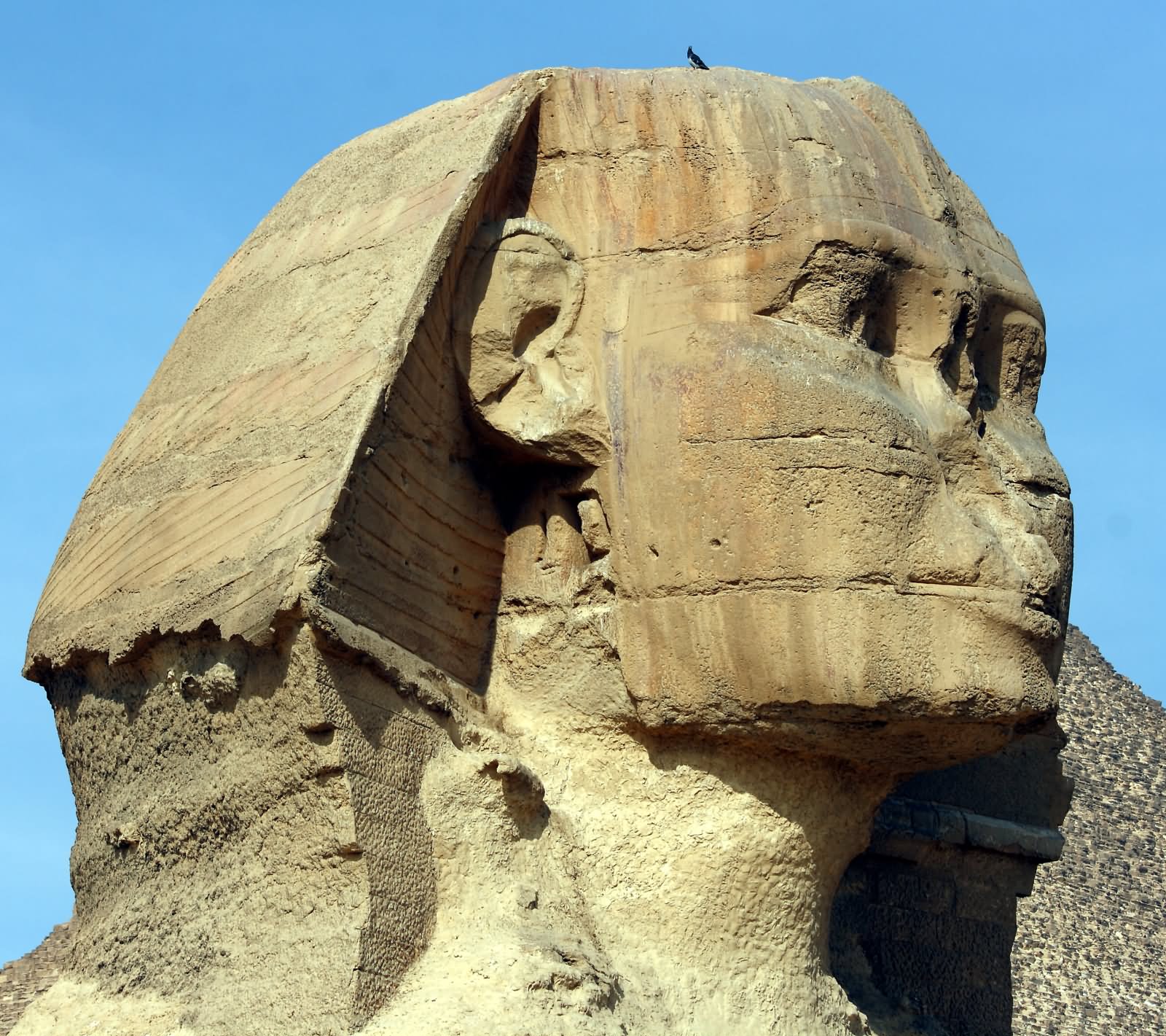 Closeup Of The Face Of The Great Sphinx of Giza