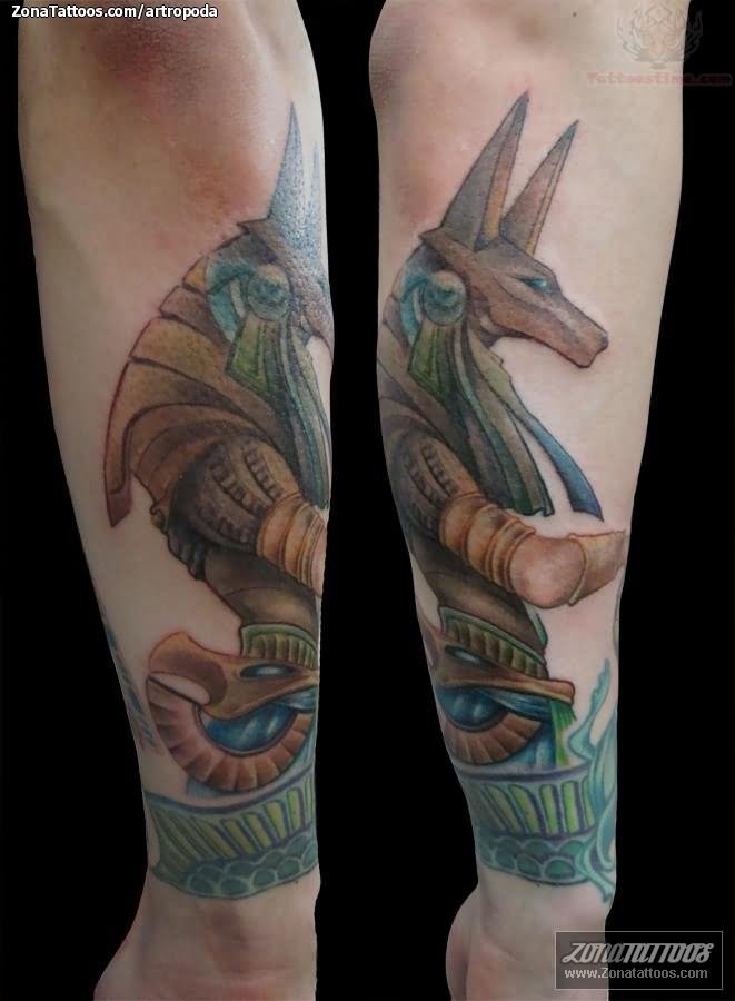 Color Ink Anubis Tattoo On Sleeve