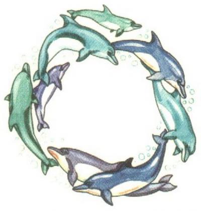 Colored Dolphins In Circle Tattoo Design