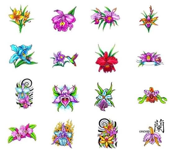 Colored Orchid Tattoos Designs