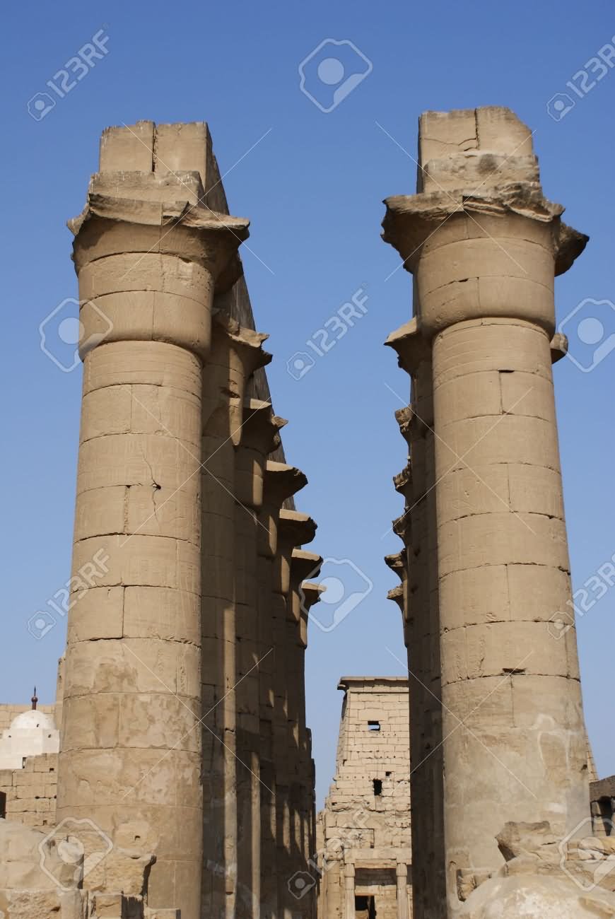 Columns In Lotus Flower Shape In Luxor Temple, Egypt