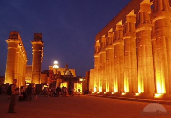 Columns Inside The Luxor Temple At Night
