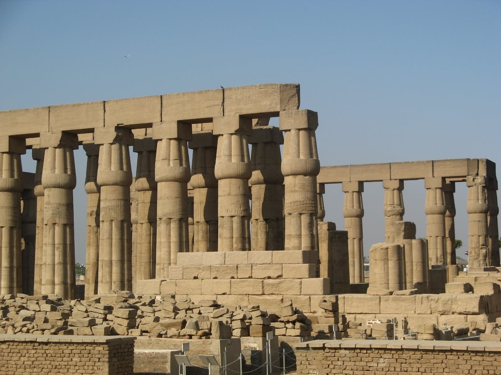Columns Inside The Luxor Temple, Egypt
